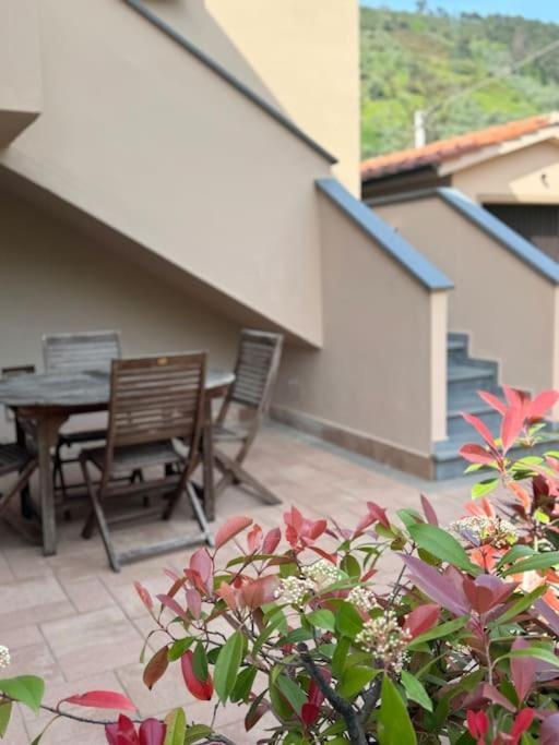 Casa Anna Asciano * Asciano Pisano