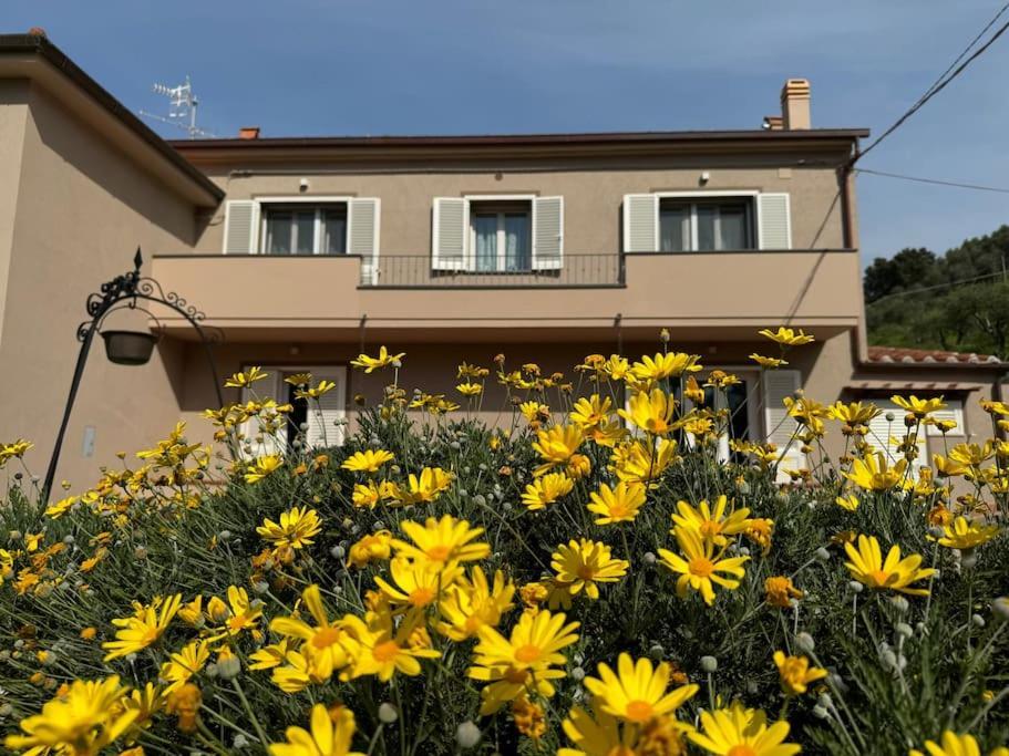 Apartment Casa Anna Asciano Asciano Pisano